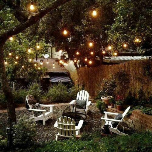 50FT G40 Outdoor String Lights