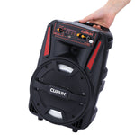 1000W Portable Bluetooth Speaker 8''DJ Party Subwoofer FM Radio with Remote+Mic
