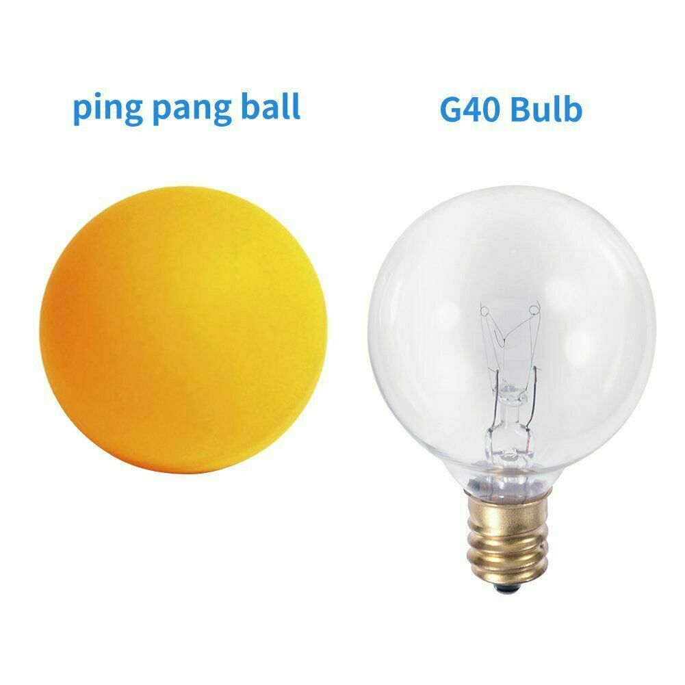 50FT G40 Outdoor String Lights