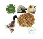High-Protein Dried Mealworms for Birds, Chickens, Turtles, Fish, Hamsters and Hedgehogs, Non-GMO and Chemical Free, All Natural Animal Feed